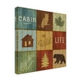 thumbnail image 4 of Trademark Fine Art 'Lake Lodge VIII' Canvas Art by Sue Schlabach, 4 of 4