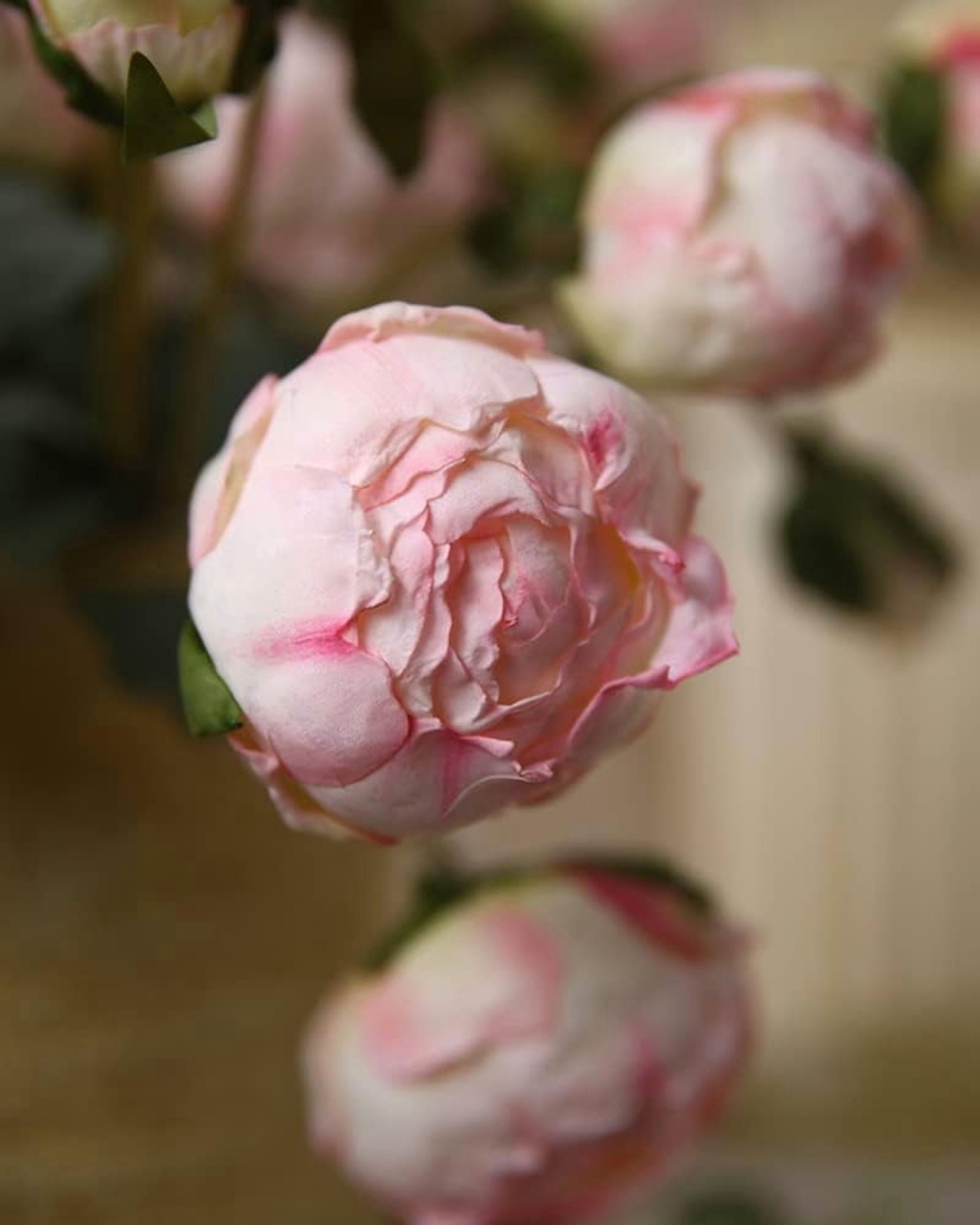 ABCISI 2 Bouquets Artificial Peonies, Silk Flowers 14Heads Vintage Fake Flowers, Faux Peony for Flower Arrangements, Lifelike Decor for Centerpiece Home Table Dining Room (Light Pink)