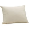 Home Trends Natural Elements Pillow