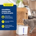 thumbnail image 3 of PetSafe Viva Cat Water Fountain 64oz, Stainless-Steel Bowl, Whisper Quiet Pump, 3 of 9