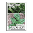 thumbnail image 2 of Giant Noble Spinach Seeds - 100+ Non-GMO Heirloom Seeds, Spinacia oleracea, Perfect for Planting in Home Gardens & Gifts, 2 of 8