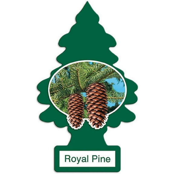 Little Trees Royal Pine Car Air Fresheners, Pack of 24