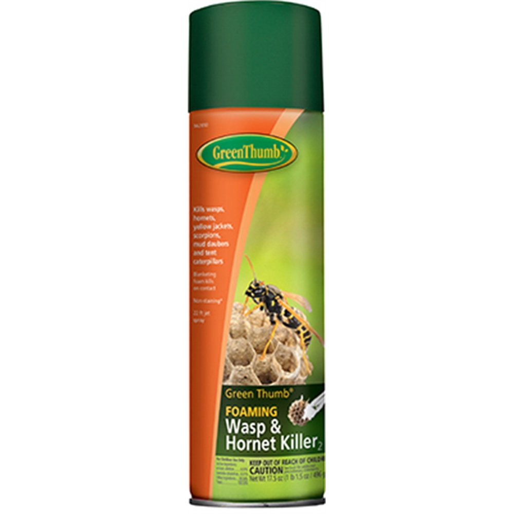 GT 17.5OZ Wasp Spray