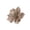 Champagne, variant on AJZIOJIRO 2PCS Simulated Flower Christmas Tree Decorations Christmas Decor Christmas Ornaments Christmas Decorations Christmas Decorations for Xmas Wedding Wreath Floral