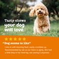 thumbnail image 6 of Zesty Paws Turmeric Curcumin Bites Bacon Flavor Dog Supplement, 90 Count, 6 of 9