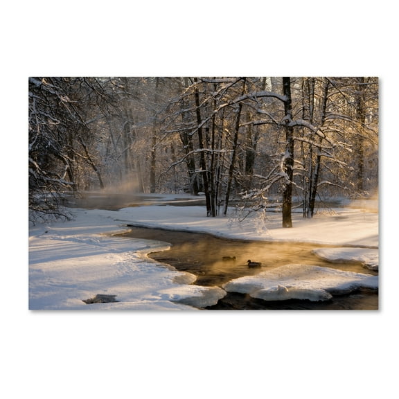 Trademark Fine Art 'The First Light' Canvas Art by Robin Eriksson