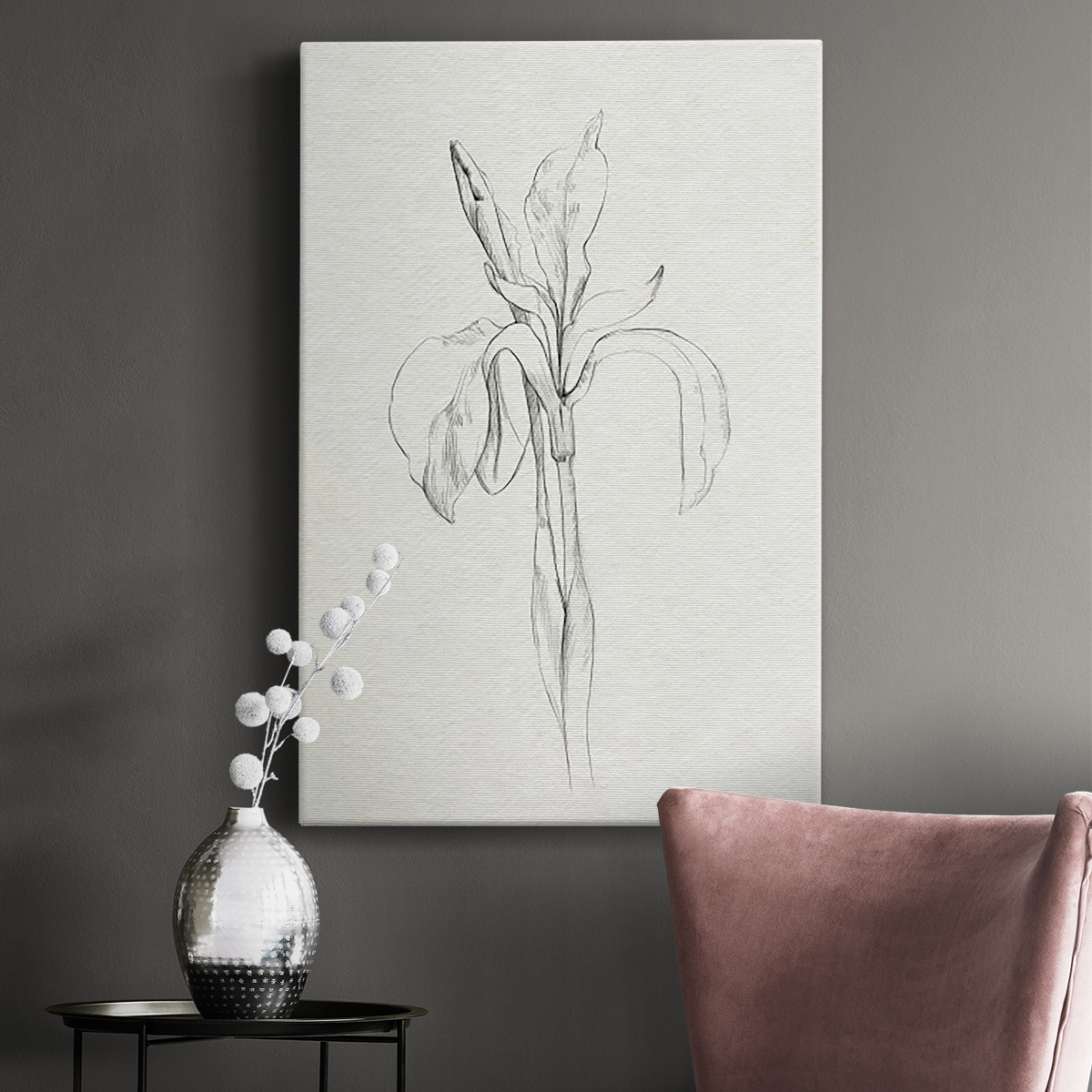 Neutral Iris Sketch II Premium Gallery Wrapped Canvas - Ready to Hang