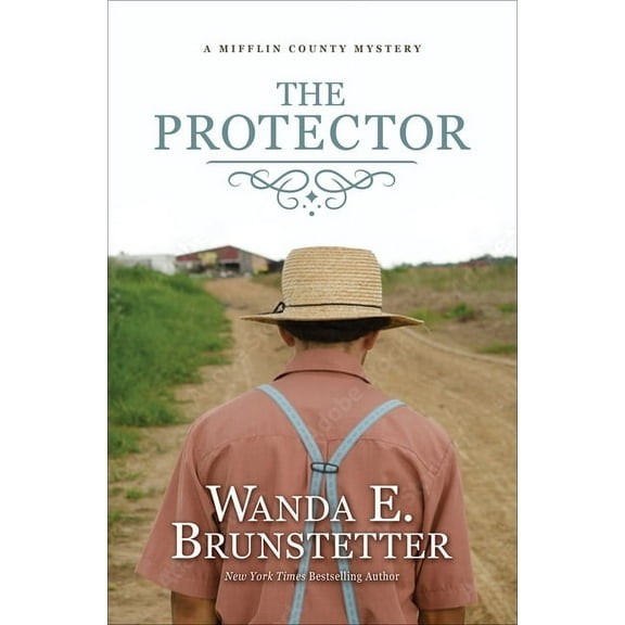 A Mifflin County Mystery The Protector, Book 1, (Hardcover)