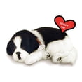 thumbnail image 1 of Perfecto Petzzz Original Petzzz Border Collie, realista, jug Perfect Petzzz Perfect Petzzz, 1 of 2