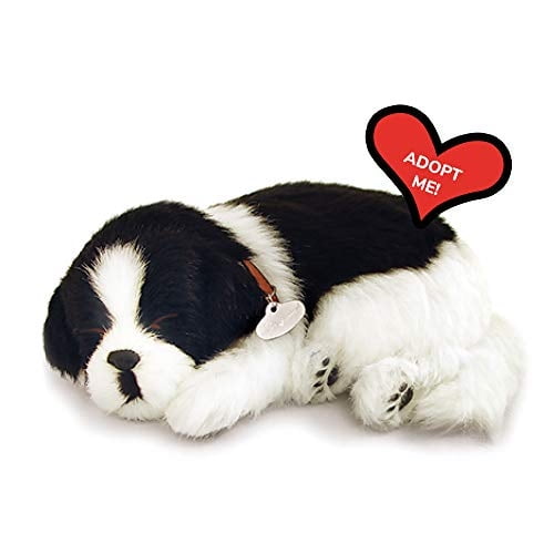 Perfecto Petzzz Original Petzzz Border Collie, realista, jug Perfect Petzzz Perfect Petzzz
