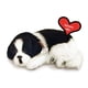 thumbnail image 1 of Perfecto Petzzz Original Petzzz Border Collie, realista, jug Perfect Petzzz Perfect Petzzz, 1 of 2