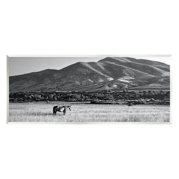 Stupell Industries Horse in Mountains Landscape Photography Unframed Art Print Wall Art, 17 x 7