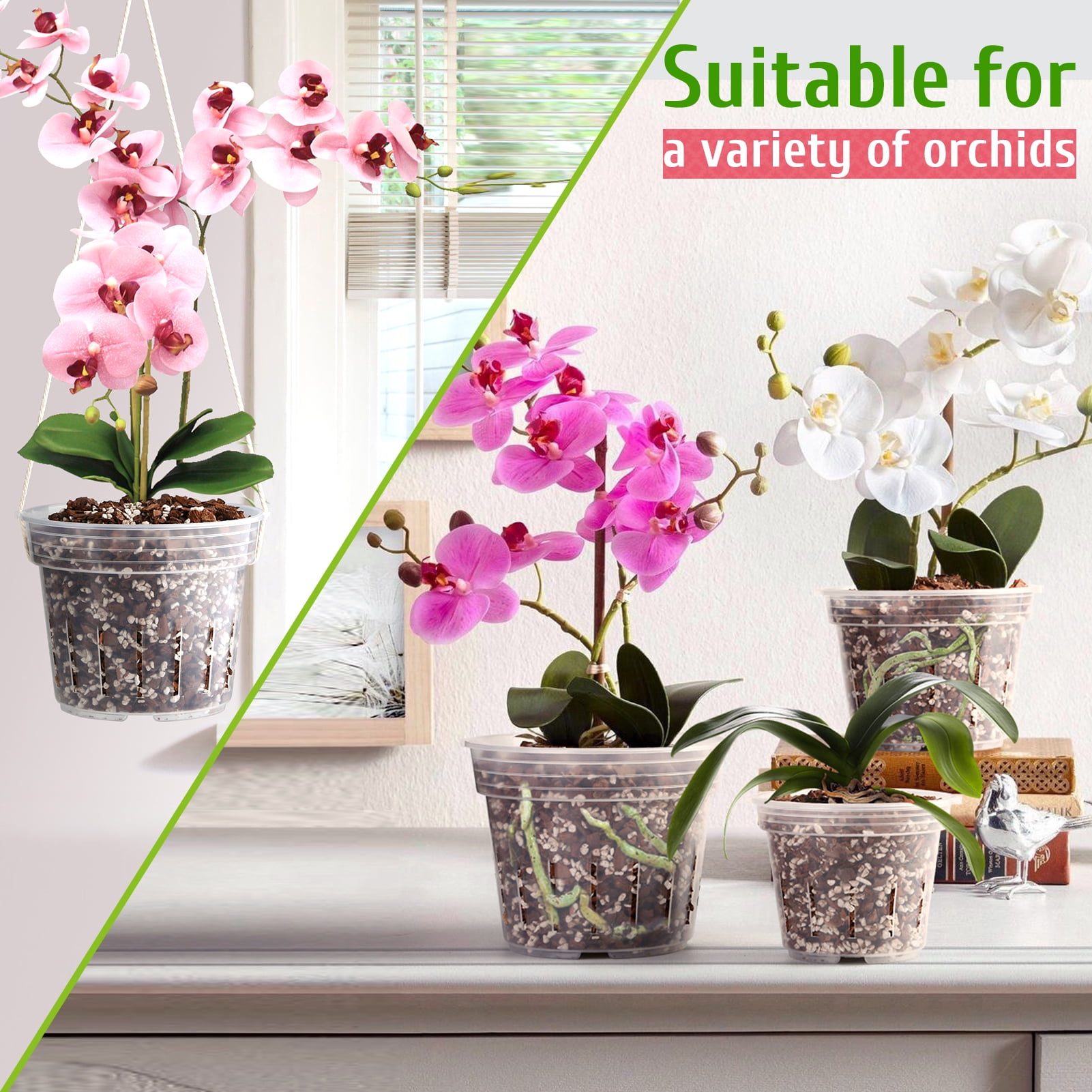 bougainvillea plant fertilizer Bougainvillea Fertilizer 32 fl. oz