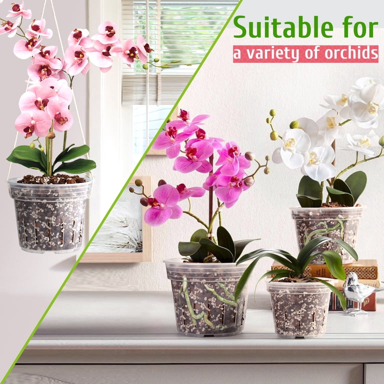 Fabulas 9-Pack Clear Orchid Pots with Drainage Holes photo 5