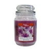 Better Homes & Gardens 18 Ounce Tropical Plumeria Petals Jar Candle