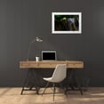 thumbnail image 3 of Maududdin, Fauzan 14x11 White Modern Wood Framed Museum Art Print Titled - Cute Smile, 3 of 4