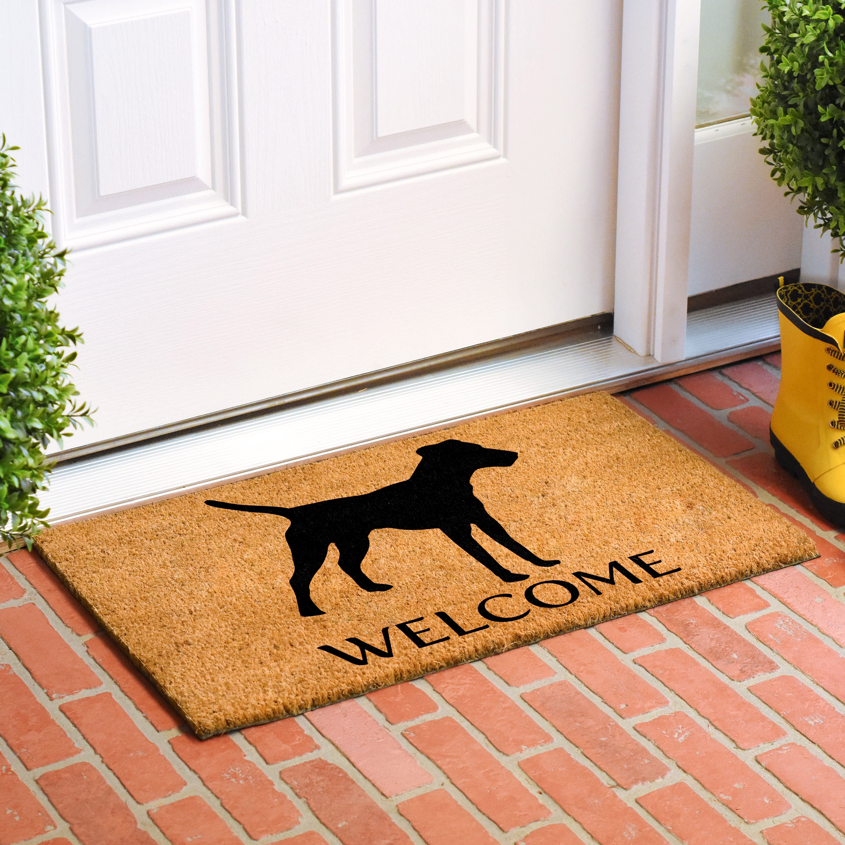 Calloway Mills 106971729 Jack Russell Terrier Doormat 17" x 29"