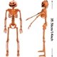 thumbnail image 3 of Esqueleto de Halloween articulado de 15,7'' - Esqueleto de Halloween de cuerpo completo con cabeza de calabaza y articulaciones móviles para decoraciones de casas embrujadas, paquete de 2, 3 of 5