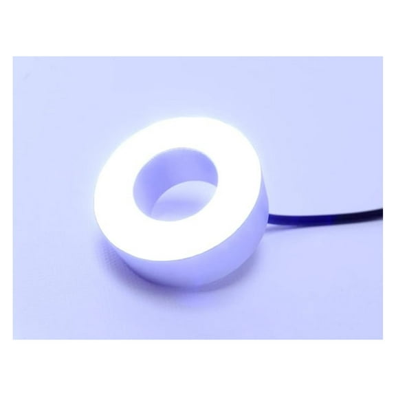 LED Pond Fountain Light, LR-D12W Waterproof Ring Light - 12 White LEDs, 15ft Cord, 120V Transformer, Submersible Garden Lighting for Water Features