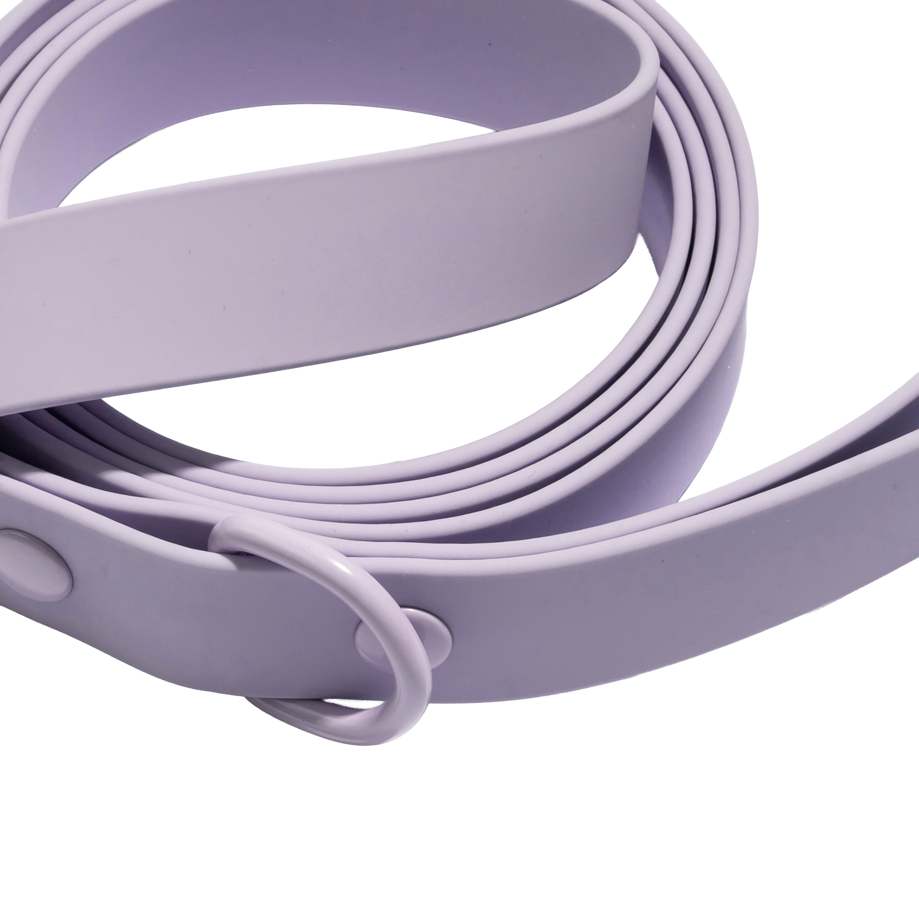 Vibrant Life 6' TPU Water Resistant Standard Dog Leash, Lavender