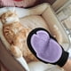 thumbnail image 5 of Guantes de baño para mascotas, perros y gatos. Guante cepillo de masaje para limpiar ositos de peluche dorados y razas grandes., 5 of 5