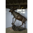thumbnail image 5 of Moose - Life Size Bronze Statue -  Size: 62"L x 48"W x 80"H., 5 of 11
