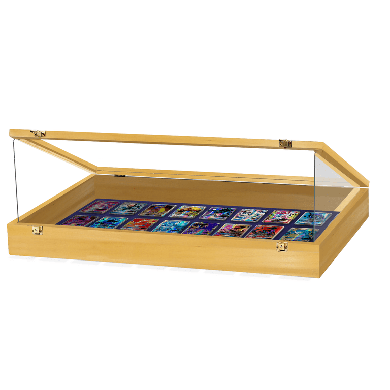PENNZONI Trade Show Display Portable Case, Clear Acrylic Box w