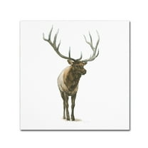 Natural Majesty I' Canvas Art by Emily Adams