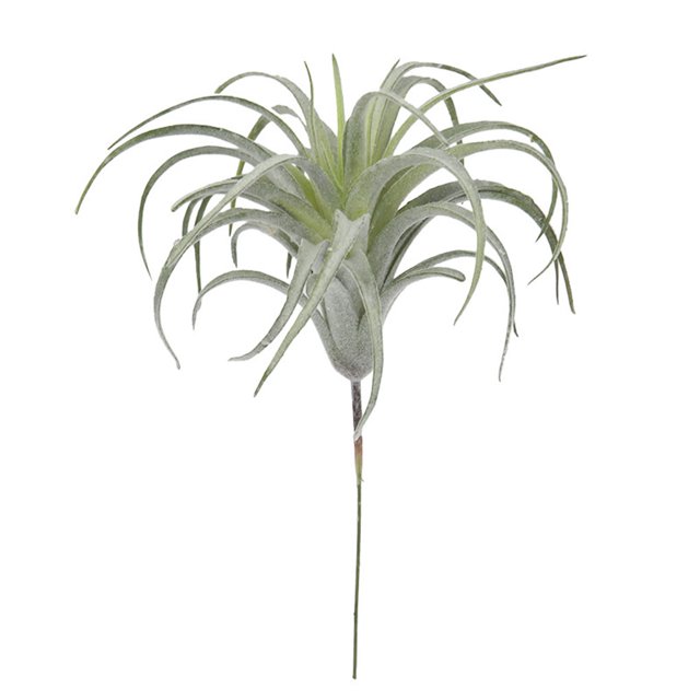 Worallymy planta artificial hierba simulación fruta hierba hogar Oficina plástico planta falsa decoración ornamento Worallymy JD735804935
