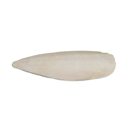 Cuttlebone Treat - Prevue Pet 4