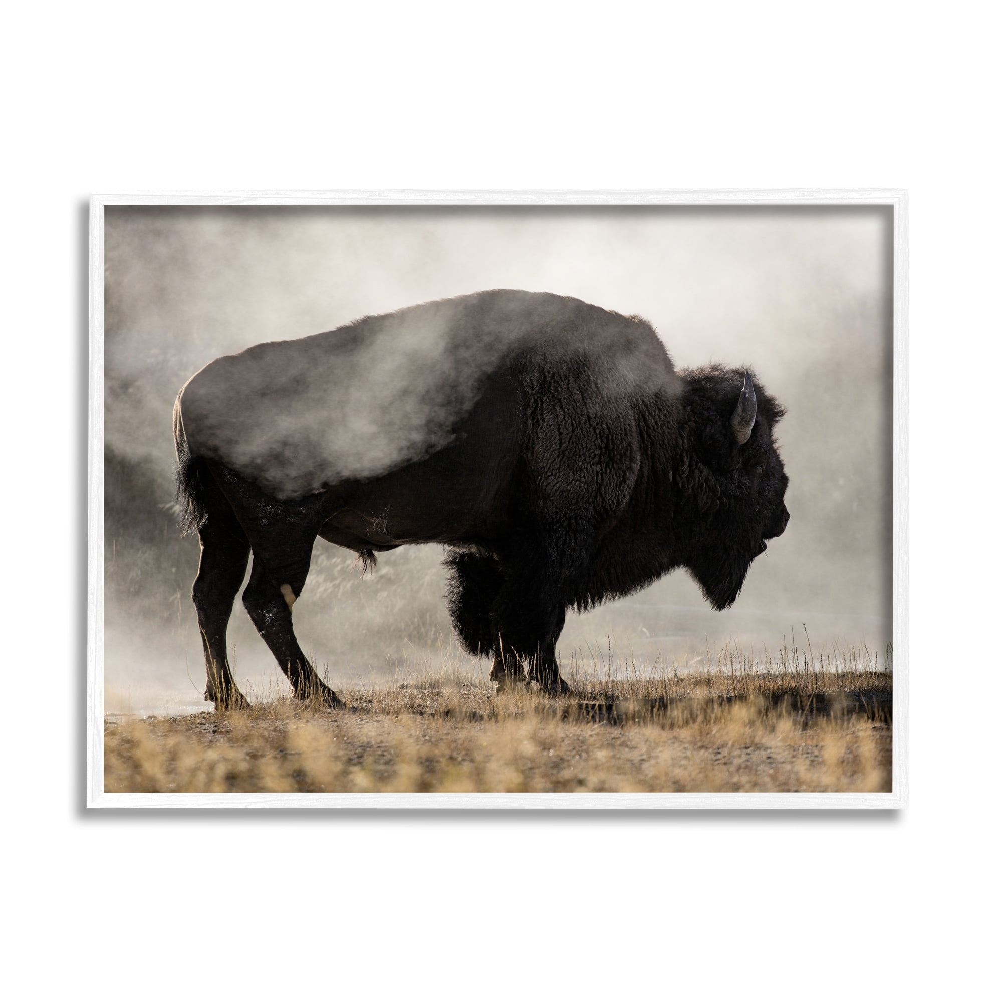 Stupell Industries Powerful Bison Grazing Foggy Rural Pasture Photography Photograph White Framed Art Print Wall Art, Design by Danita Delimont