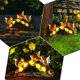 thumbnail image 5 of Figura de gnomo de jardín, lámpara solar con forma de ardilla para exteriores, gnomos de jardín con energía solar, adornos para césped, decoración solar para el jardín del hogar., 5 of 5