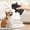 D, variant on Dog Toy, Zzbeans Squeaky Pig Chew Toy for Pets, Interactive Gnawing Sound Animal Shape Durable Safe Puppy Plaything