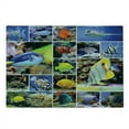thumbnail image 2 of Ocean Cutting Board, Collage of Underwater Photos with a Group of Tropical Art Fish Oceanic Pattern, Decorative Tempered Glass Cutting and Serving Board, Large Size, Yellow Blue, by Ambesonne, 2 of 5