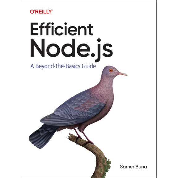 Efficient Node.Js: A Beyond-The-Basics Guide, (Paperback)