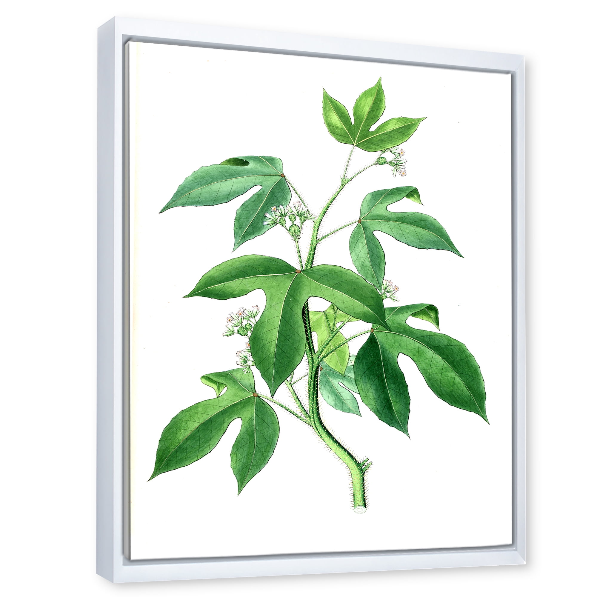 Designart 'Ancient Green Leaves Plants V' Traditional Framed Canvas Wall Art Print