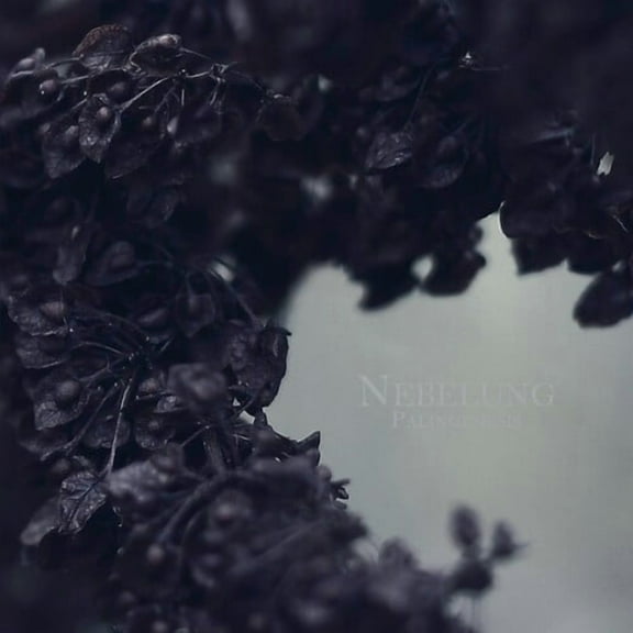Nebelung - Palingenesis - Folk Music - Vinyl