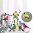 thumbnail image 5 of SRU Robot Bird Singing And Chirping Bird Toy Simulate The Chirping Of Birds Battery Operated Realistic Singing Chirping Birds For Home Decoration Light & Voice Control,Red, 5 of 8