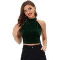 thumbnail image 1 of INSPIRE CHIC Top corto de fiesta con capas básicas de terciopelo y cuello halter para mujer Verde S, 1 of 5