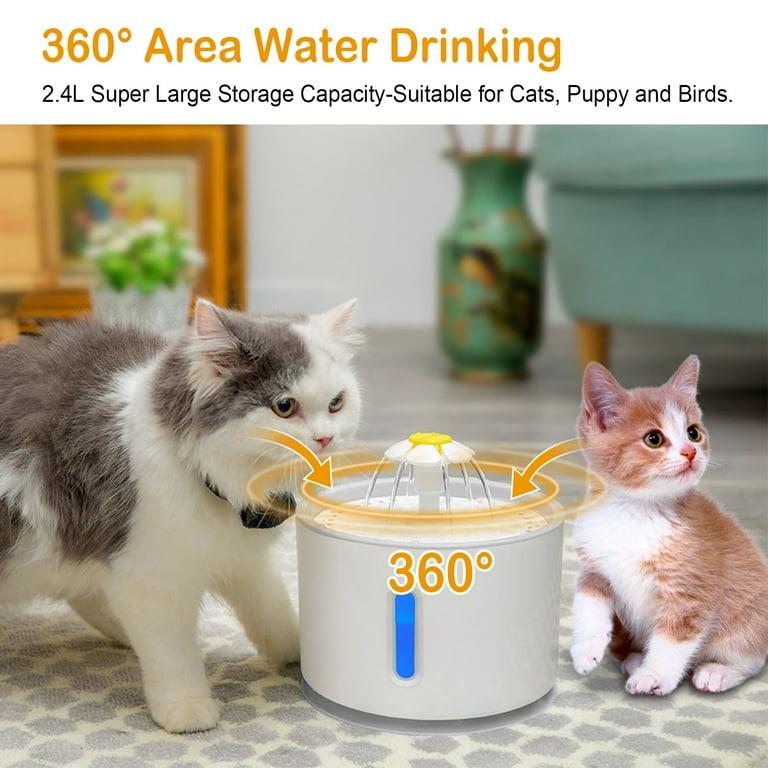 Electric water dish for cats sales