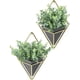 thumbnail image 4 of Monstrate Planta sintética ecológica de 2 piezas para balcón y jardín, amplia aplicación y apariencia realista Decoración, 4 of 6