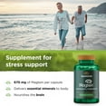 thumbnail image 3 of Swanson Magnesium L-Threonate - Mineral Supplement Promoting Nervous System Health - May Support Cognitive Health, Learning & Memory - (90 Veggie Capsules) (2 Pack), 3 of 7