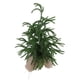 thumbnail image 5 of Mini Árbol De Navidad, Pet Green Green Artificial Christmas Tree Tabletop Exhibición Con Puntas De Nieve Para La Decoración Del Hogar De Vacaciones Centro De Comedor, 5 of 7