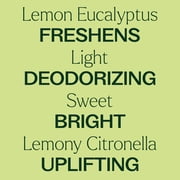 Plant Therapy Organic Lemon Eucalyptus Essential Oil 100% Pure, USDA Certified Organic, Undiluted, Natural Aromatherapy 30 mL (1 oz)