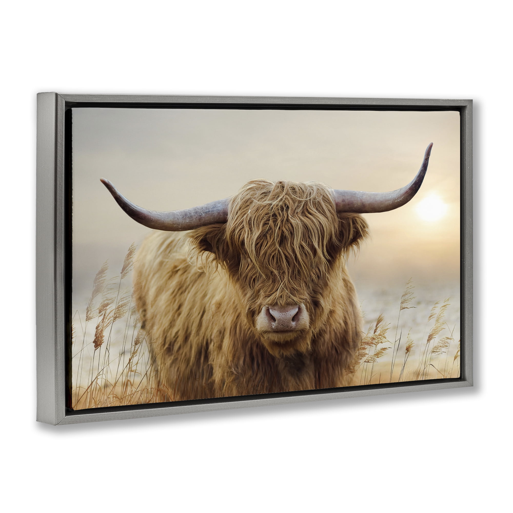 Stupell Industries Highland Cow & Warm Sunset Gray Framed Floater Canvas Wall Art, design by CAD Designs