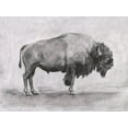 thumbnail image 2 of Scarvey, Emma 18x15 Black Ornate Wood Framed with Double Matting Museum Art Print Titled - Wild Bison Study I, 2 of 4