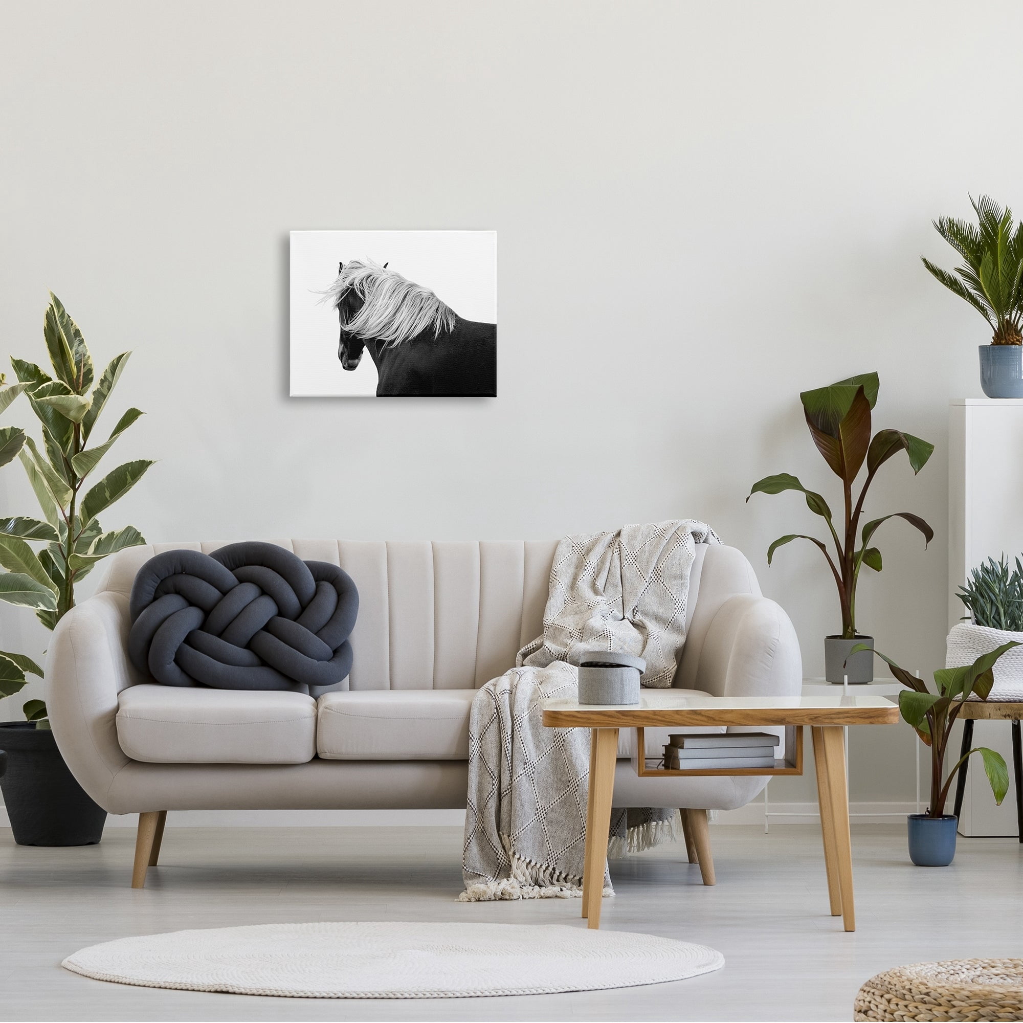 Stupell Industries Equestrian Photography Modern Horse Contrast Black White, 48 x 36,Design by Samantha Carter