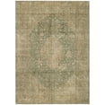 thumbnail image 2 of Addison Rugs Chantille Indoor/Outdoor Traditional Global Aloe Washable Rectangle Rug, 10' x 14', 2 of 6