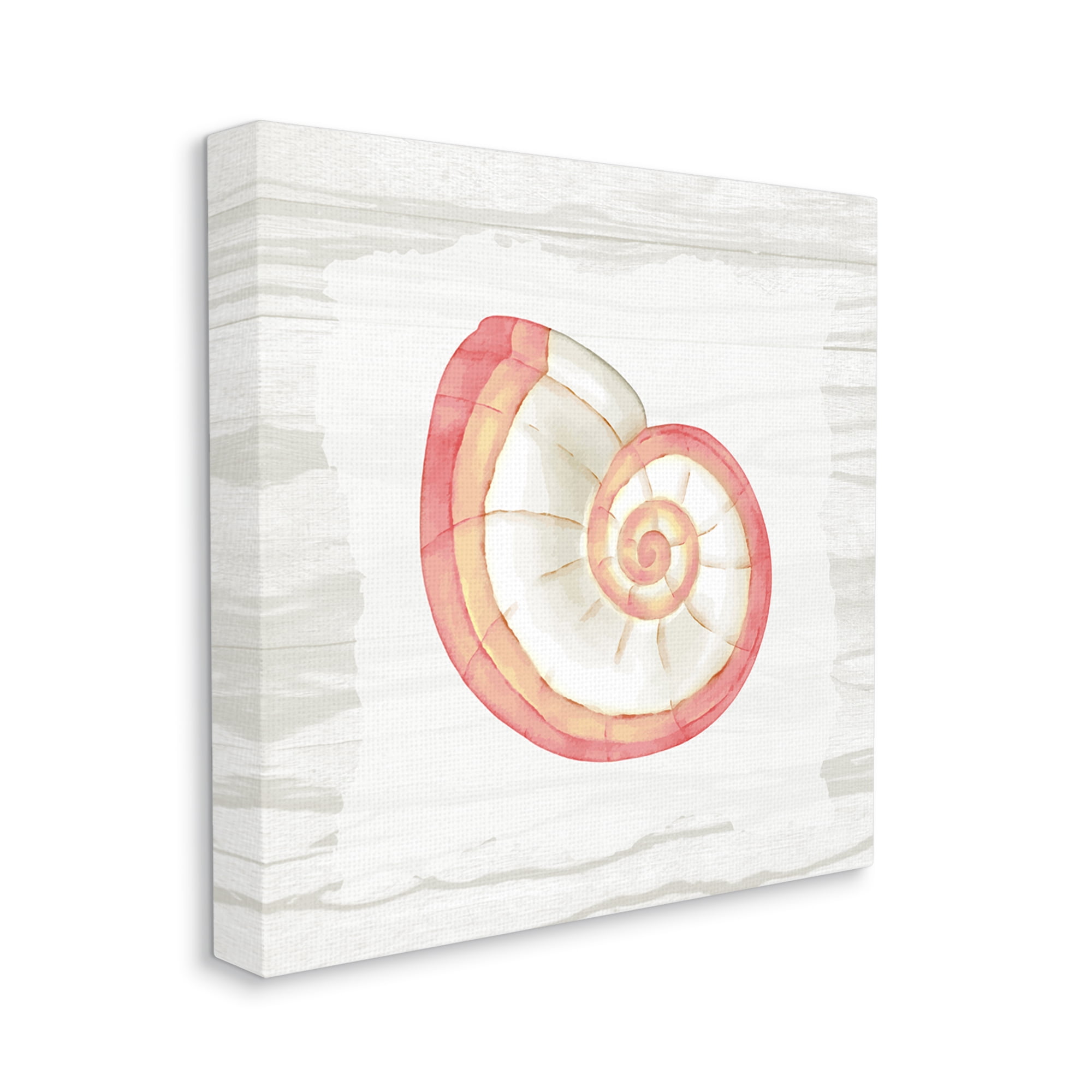 Stupell Industries Patterned Nautilus Shell Animals & Insects Painting Gallery Wrapped Canvas Print Wall Art, 17 x 17