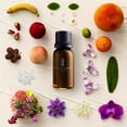 thumbnail image 2 of Brilliant Scents - Sunburstl | Inspired By: Volcano by Capri Blue | Luxury Home & Business Scent | Citrus - Fragrance Oil - 120ml, 2 of 2